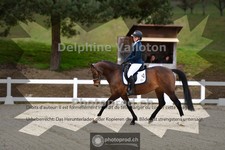 ref. photo 4009072
