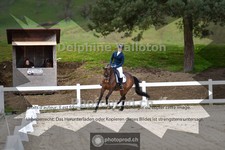 ref. photo 4009090