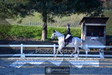 ref. photo 4009128