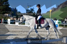 ref. photo 4009134