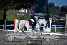 ref. photo 4009137
