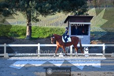 ref. photo 4009161