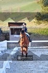 ref. photo 4009164