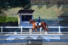 ref. photo 4009168