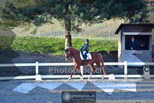 ref. photo 4009169