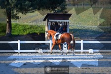 ref. photo 4009173