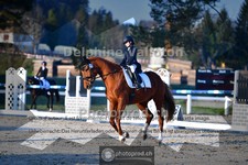 ref. photo 4009186