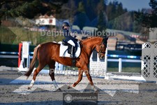 ref. photo 4009197
