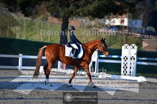 ref. photo 4009209