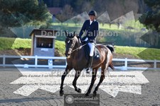 ref. photo 4009369
