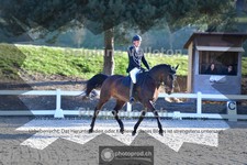 ref. photo 4009372
