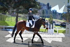 ref. photo 4009394
