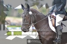 ref. photo 4009440