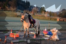 ref. photo 4009449