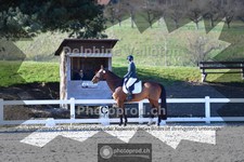 ref. photo 4009503