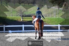 ref. photo 4009511
