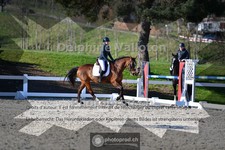 ref. photo 4009522