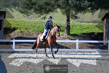 ref. photo 4009533