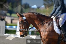 ref. photo 4009537