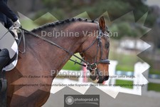 ref. photo 4009559