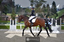 ref. photo 4009568