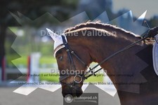 ref. photo 4009613
