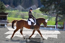 ref. photo 4009626