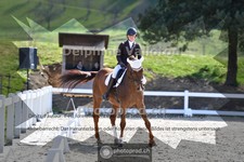 ref. photo 4009630