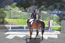 ref. photo 4009642