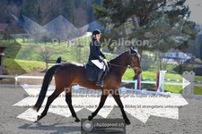 ref. photo 4009851
