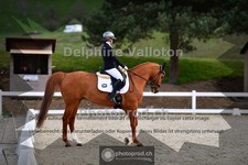 ref. photo 4009889