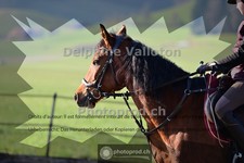ref. photo 4009927