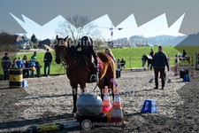 ref. photo 4009937