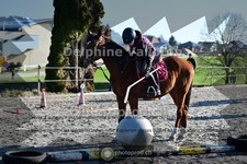 ref. photo 4009939