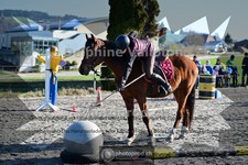 ref. photo 4009941