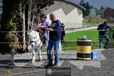 ref. photo 4010169