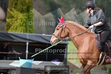 ref. photo 4010178