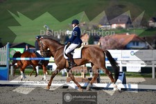 ref. photo 4010261