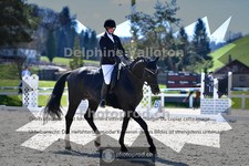 ref. photo 4010308