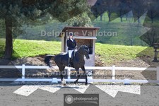 ref. photo 4010312