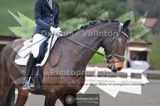 ref. photo 4010348