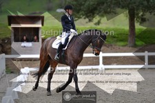 ref. photo 4010357