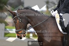 ref. photo 4010389