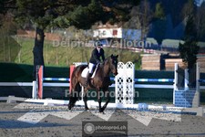 ref. photo 4010415