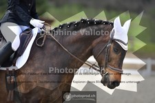 ref. photo 4010539