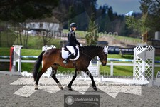 ref. photo 4010548