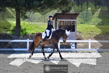 ref. photo 4010572