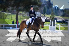 ref. photo 4010580