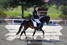 ref. photo 4011002