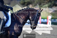 ref. photo 4011367